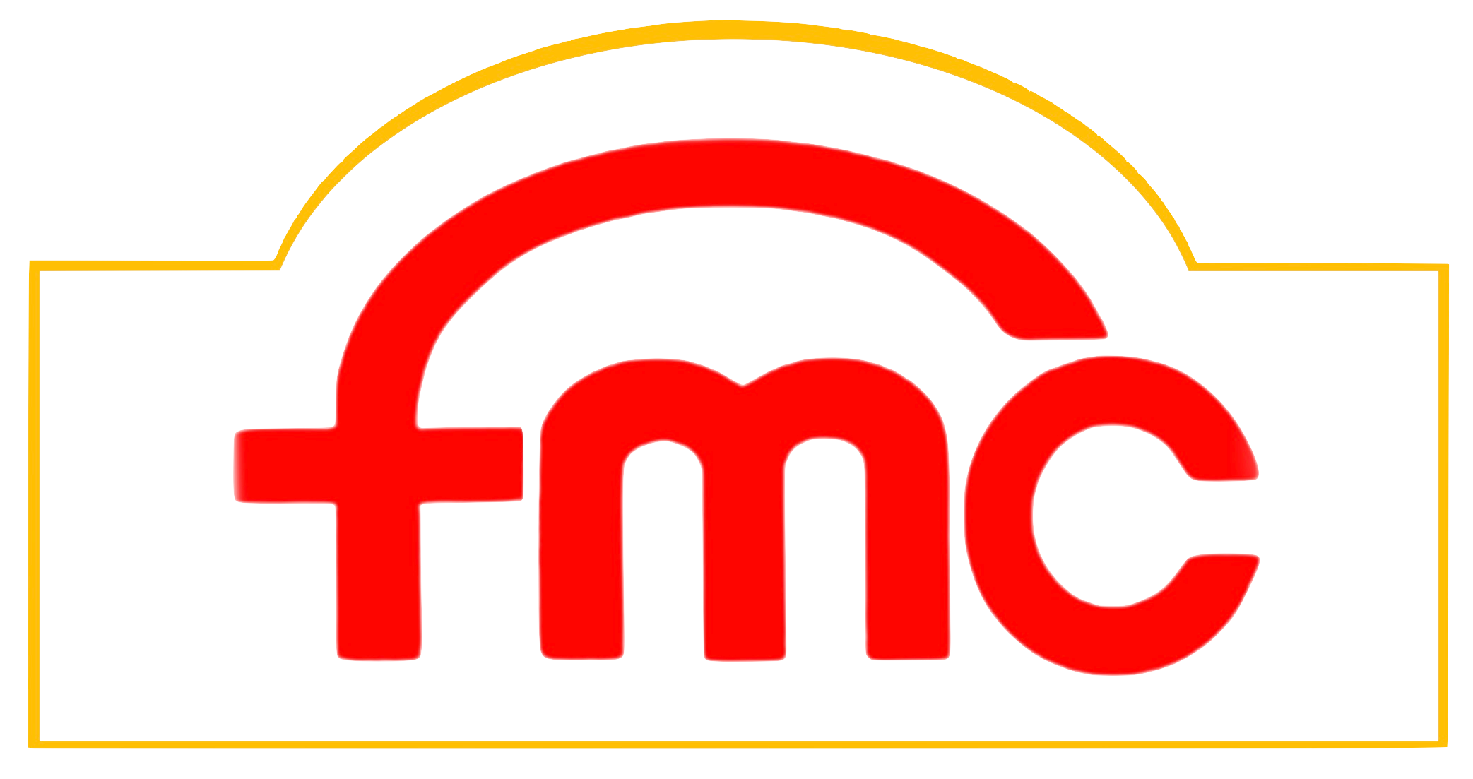 Francisco Motors LLC